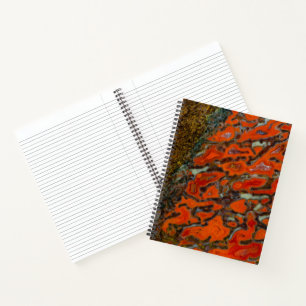 Red Petrified Dinosaur Bone Notebook