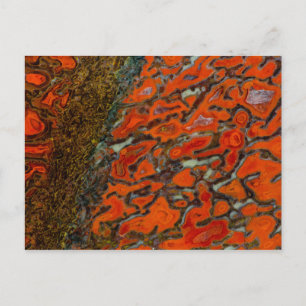 Red Petrified Dinosaur Bone Postcard
