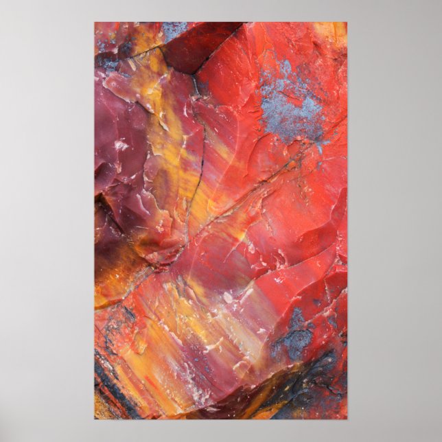 Red Petrified wood detail, Arizona Poster (Front)