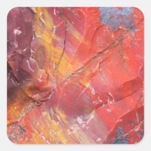 Red Petrified wood detail, Arizona Square Sticker