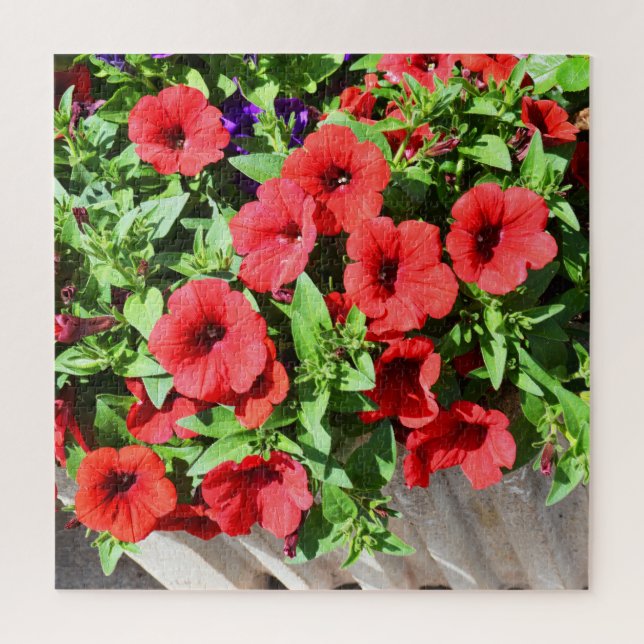 Red petunia flowers jigsaw puzzle (Vertical)