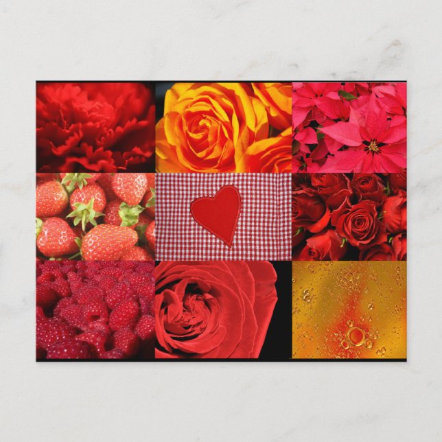Red Photography Collage Postcard (Front)