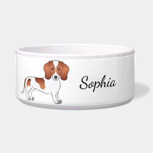 Red Pied Smooth Coat Dachshund Cartoon Dog & Name