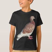Red Pigeon (isolated)