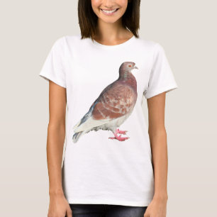 Red Pigeon (isolated) T-Shirt