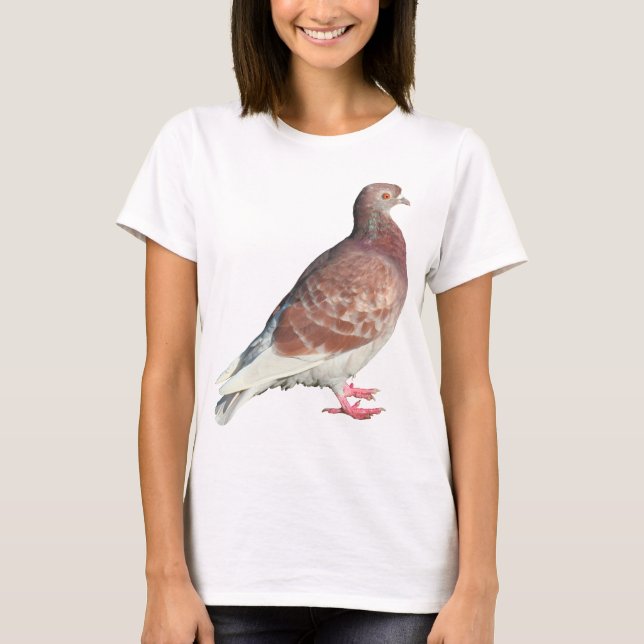 Red Pigeon (isolated) T-Shirt (Front)
