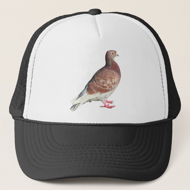 Red Pigeon (isolated) Trucker Hat (Front)