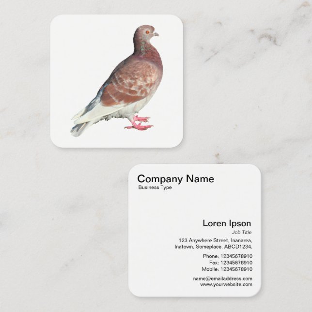 Red Pigion Square Business Card (Front/Back)