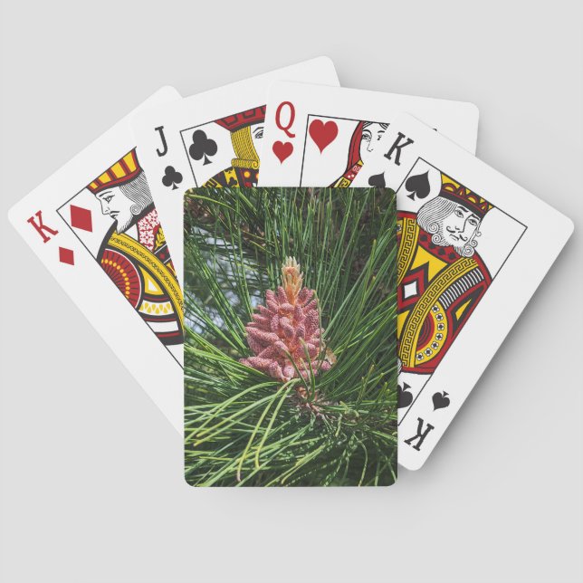 Red Pine Tree Pollen Cone (Pinus resinosa) Playing Cards (Back)