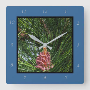Red Pine Tree Pollen Cone (Pinus resinosa) Square Wall Clock