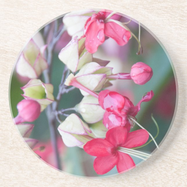 Red Pink and White Tropical Flowers Coaster (Front)