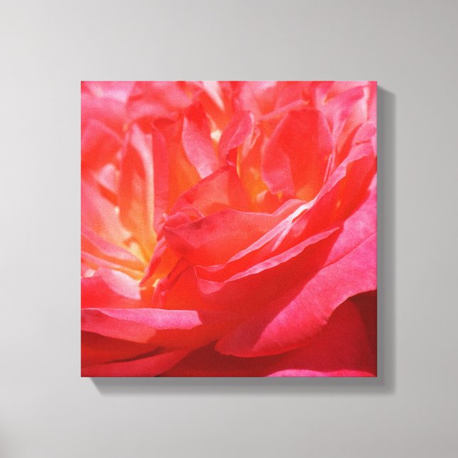 Red Pink Canvas Art prints Roses Flowers (Front)