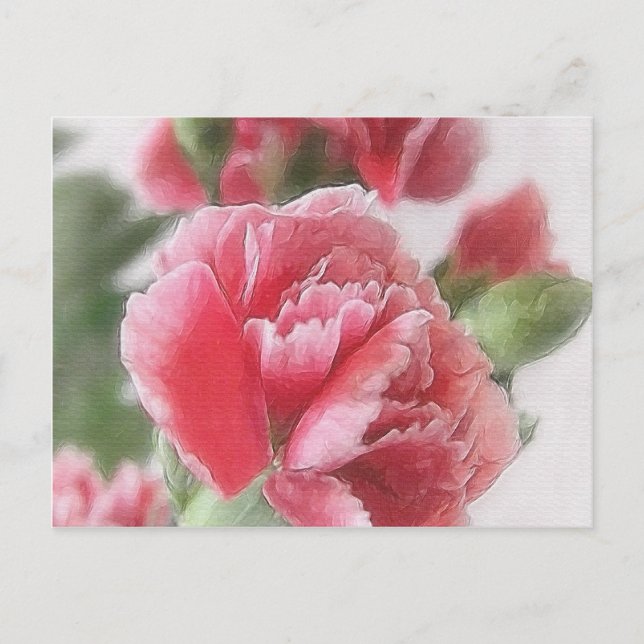 Red-Pink Carnations 1 Painterly Postcard (Front)