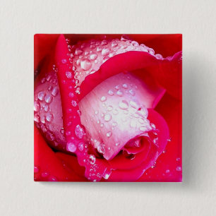 Red/Pink Dew-Kissed Rose 15 Cm Square Badge