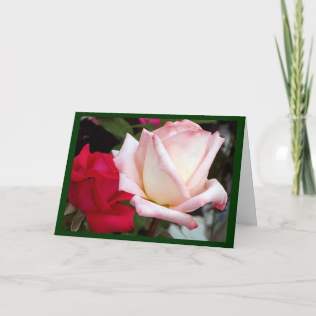 Red Pink Roses Note Cards (Front)