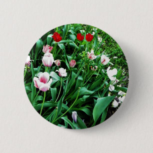 Red & Pink Tulips Pictures 6 Cm Round Badge