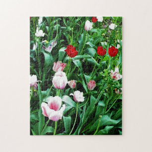 Red & Pink Tulips Pictures Jigsaw Puzzle