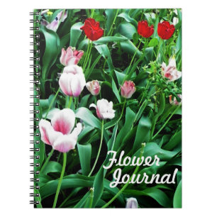 Red & Pink Tulips Pictures Notebook
