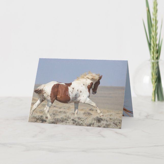 Red Pinto Stallion Leaps Wild Horse Greeting Card (Front)