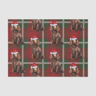 Red Plaid Boykin Spaniel Dog Lover Holiday Tissue Paper