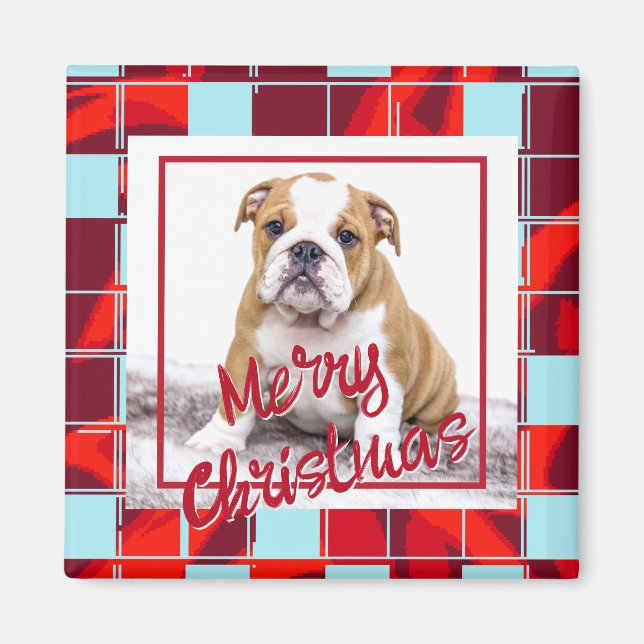 Red Plaid Bulldog Dog Photo Merry Christmas Magnet (Front)