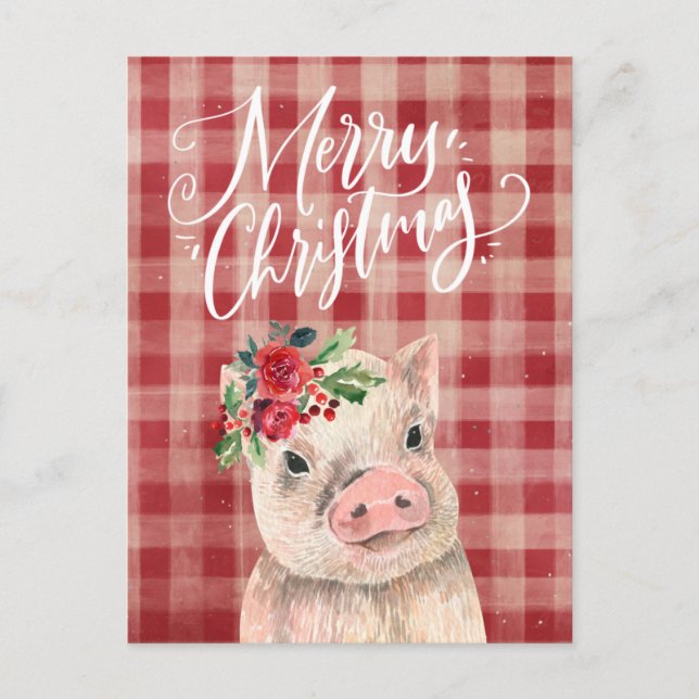 Red Plaid Christmas Pig Holiday Postcard (Front)