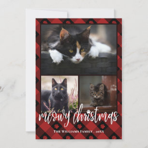Red Plaid Meowy Christmas Photo Collage Holiday Card