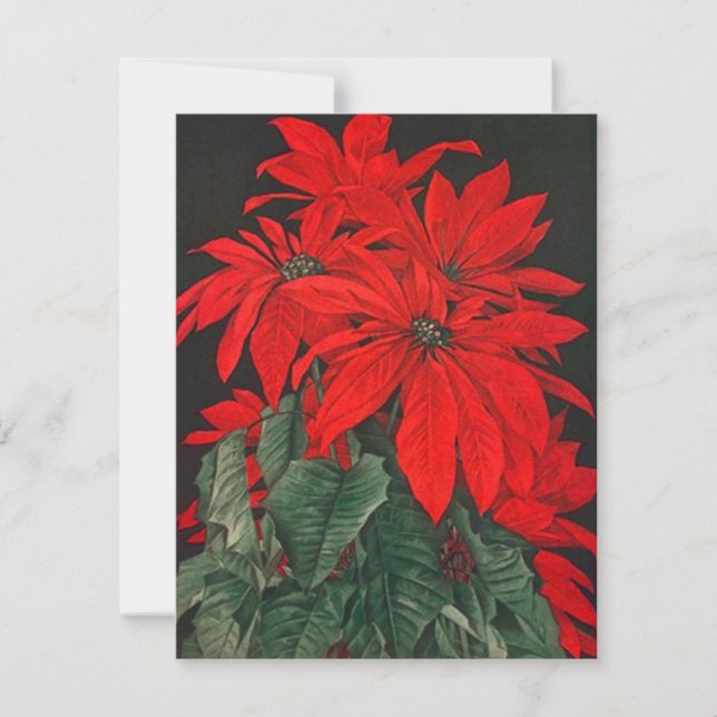RED POINSETTIA BOUQUET HOLIDAY PARTY INVITATIONS (Front)