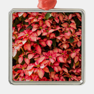 Red Poinsettia Christmas flower Metal Tree Decoration
