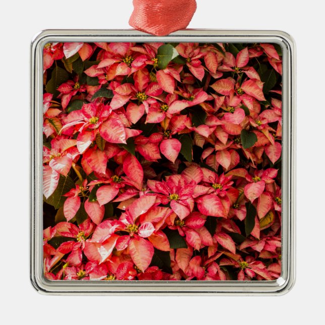 Red Poinsettia Christmas flower Metal Tree Decoration (Front)
