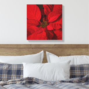 Red Poinsettia Christmas Holidays Canvas Print