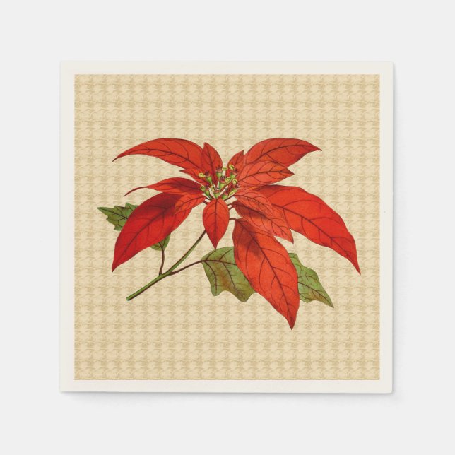 Red Poinsettia Ecru Standard Cocktail Napkin (Front)