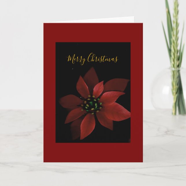 Red Poinsettia Merry Christmas  Card (Front)