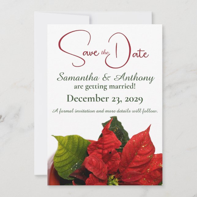 Red Poinsettia Wedding Save The Date (Front)