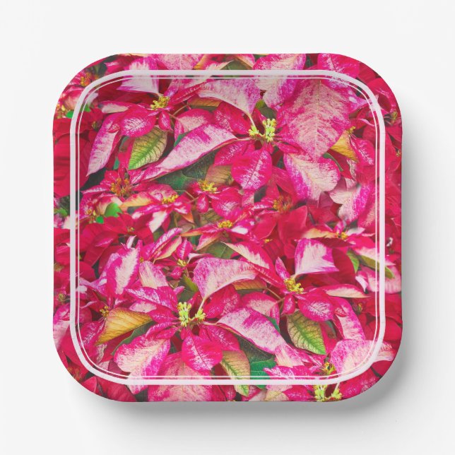 Red Poinsettias Christmas Floral Photography Paper Plate (Front)