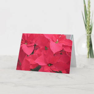 Red Poinsettias Holiday Card