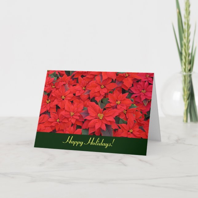 Red Poinsettias Holiday Card (Blank Inside) (Front)