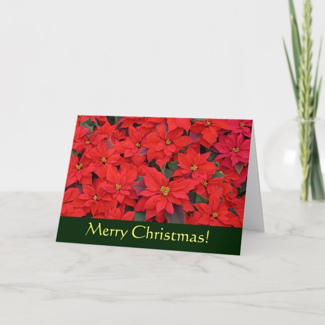 Red Poinsettias I Christmas Card (Blank Inside) (Front)