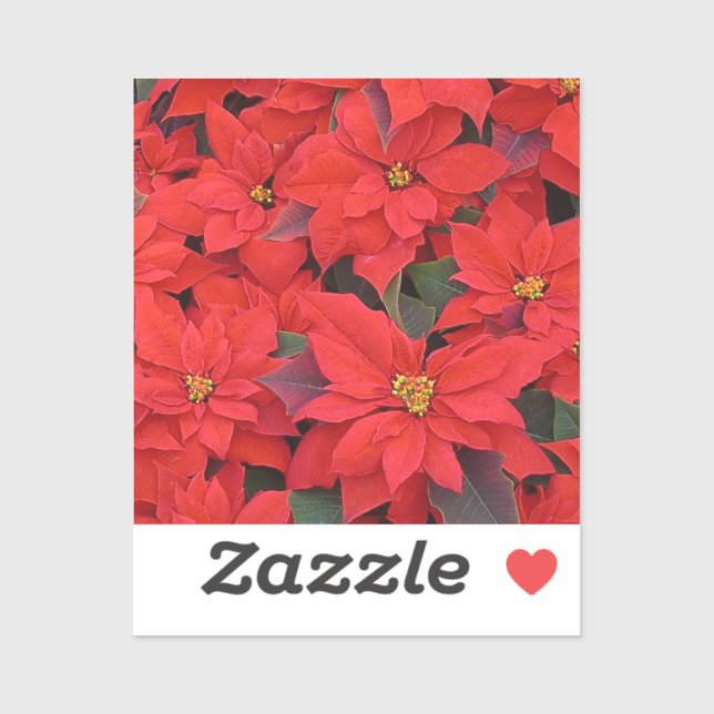 Red Poinsettias I Christmas Holiday Floral Photo (Sheet)