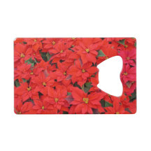 Red Poinsettias I Christmas Holiday Floral Photo