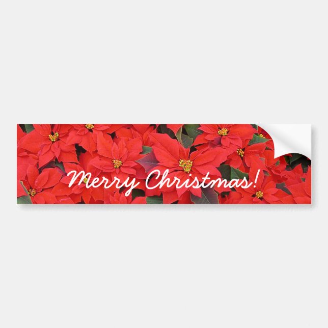 Red Poinsettias I Christmas Holiday Floral Photo Bumper Sticker (Front)