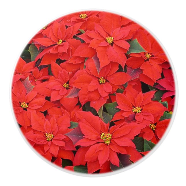 Red Poinsettias I Christmas Holiday Floral Photo Ceramic Knob (Front)