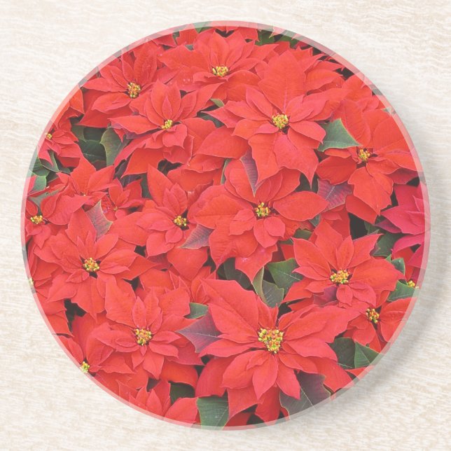 Red Poinsettias I Christmas Holiday Floral Photo Coaster (Front)