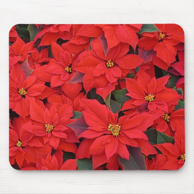 Red Poinsettias I Christmas Holiday Floral Photo Mouse Mat (Front)