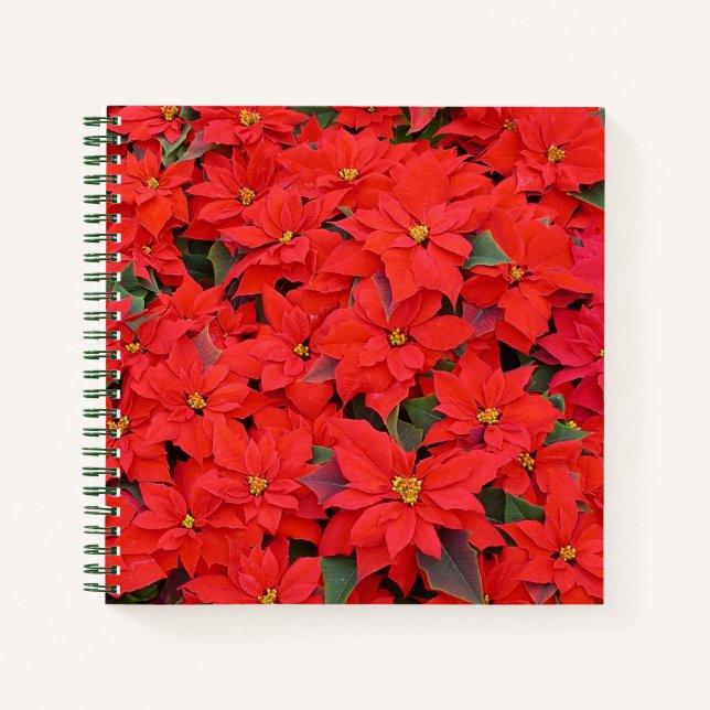 Red Poinsettias I Christmas Holiday Floral Photo Notebook (Front)