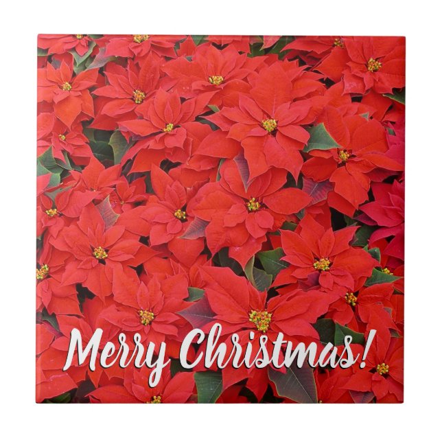 Red Poinsettias I Christmas Holiday Floral Photo Tile (Front)