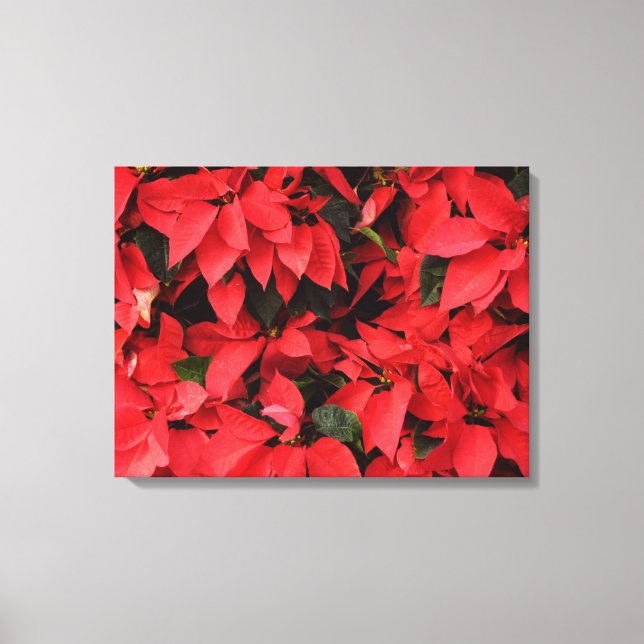 Red Poinsettias II Christmas Holiday Floral Canvas Print (Front)