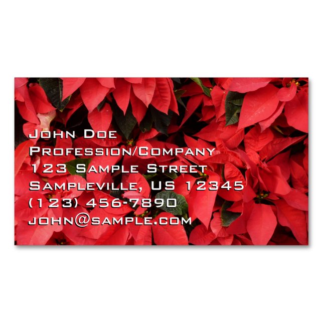 Red Poinsettias II Christmas Holiday Floral Magnetic Business Card (Front)