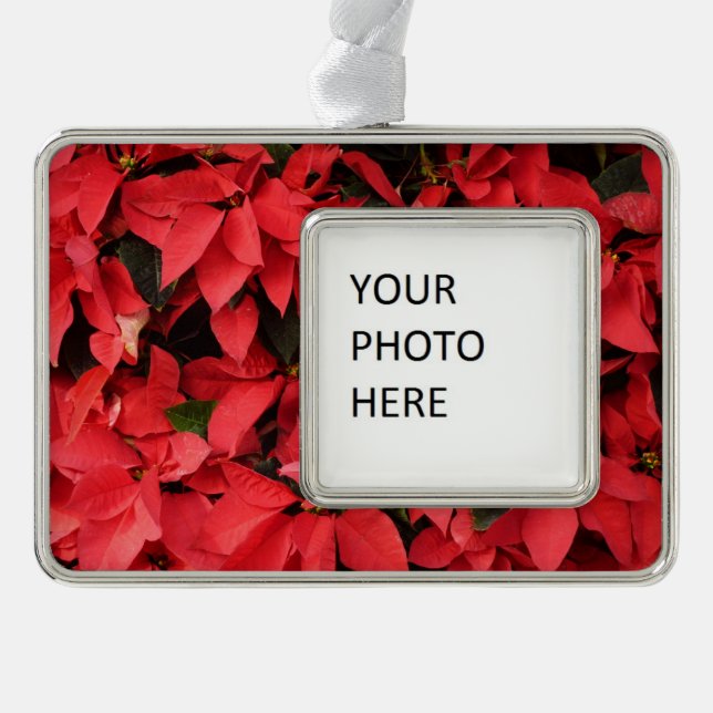 Red Poinsettias II Christmas Holiday Floral Silver Plated Framed Ornament (Front)