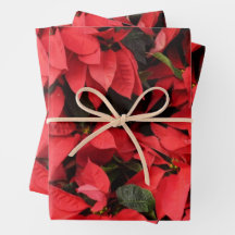 Red Poinsettias II Christmas Holiday Floral